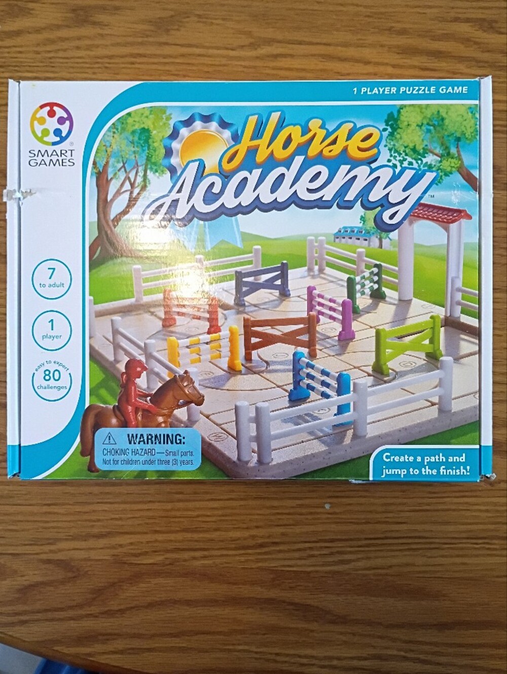 Horse Academy Kids Strategy Game - Multicolor